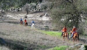 8 Great Horseback Riding Trails Near Asheville Image by phosan from Getty Images
