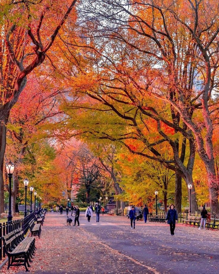 places to visit in Mount Airy, North Carolina.